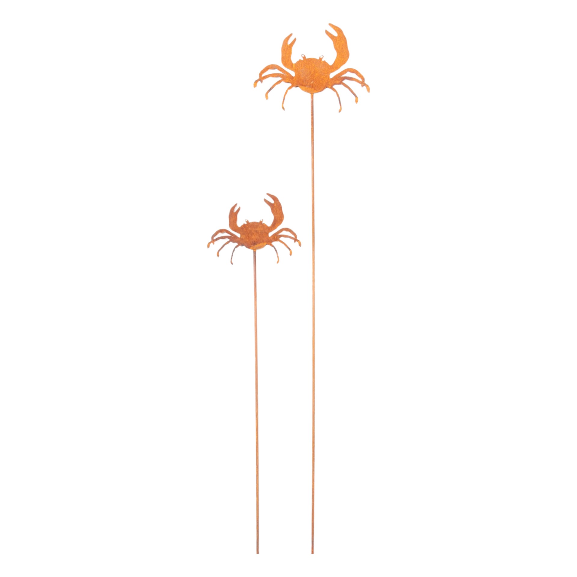 Darstellung von Krebs klein auf Stab, 12x9/ 48 cm