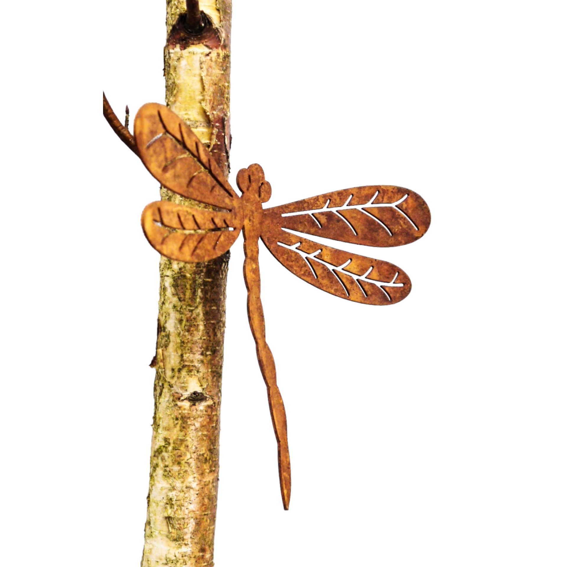 Darstellung von Libelle ROST gross mit Dorn