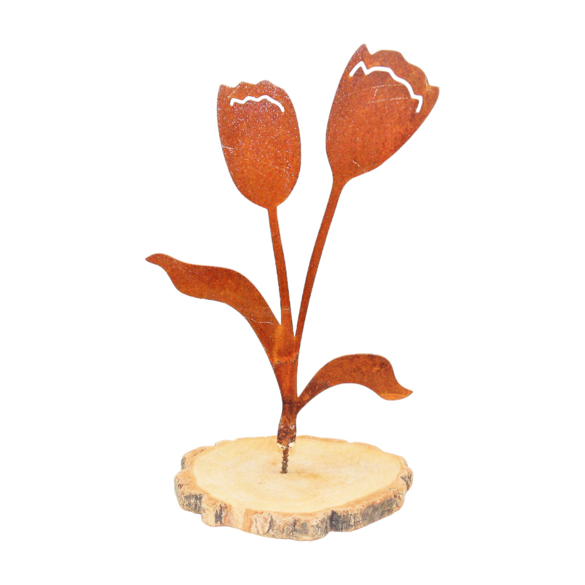 Darstellung von Tulpe 2 Blüten/ 2 Blätter, 14x20/ 22,5 cm