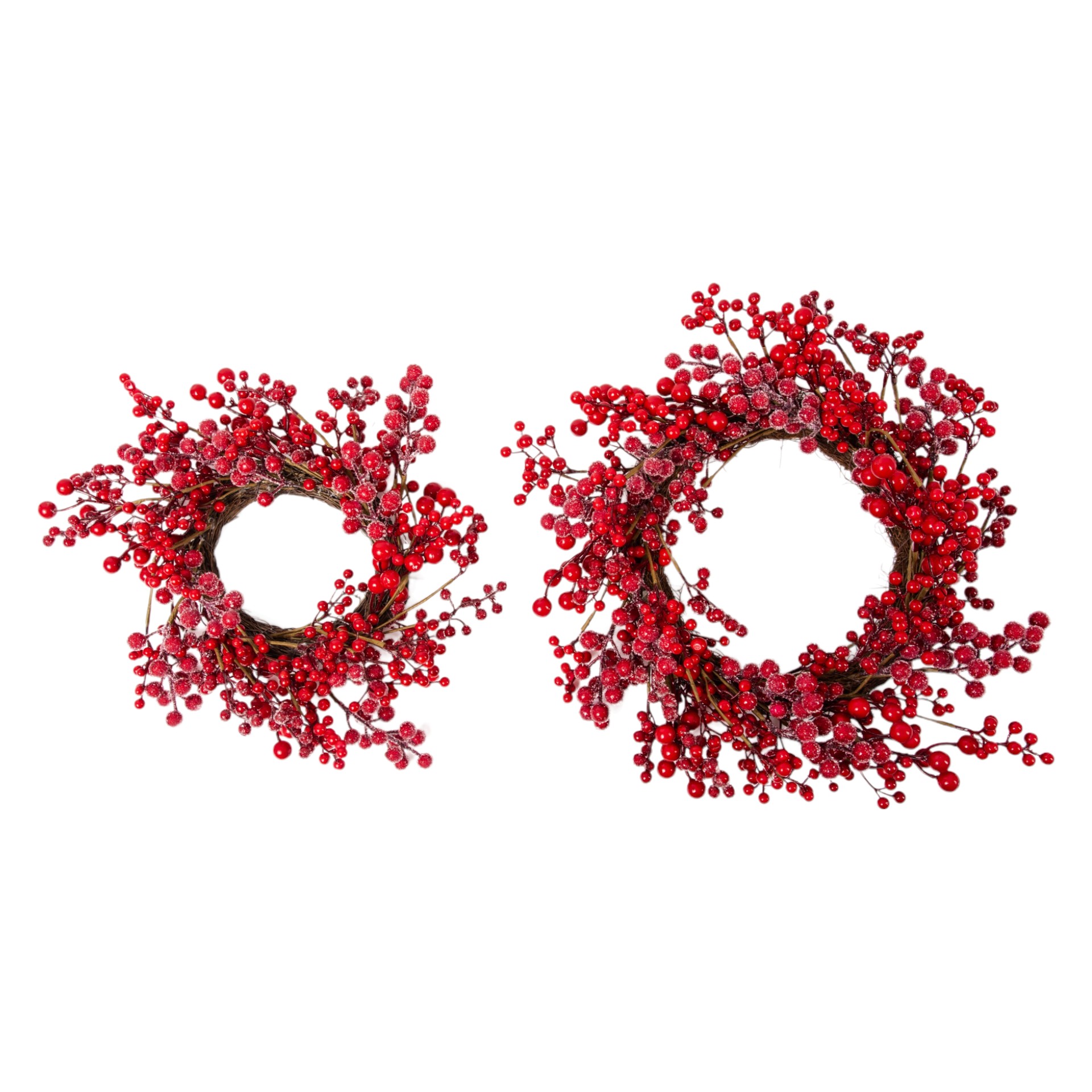 Darstellung von roter Beerenkranz riesig