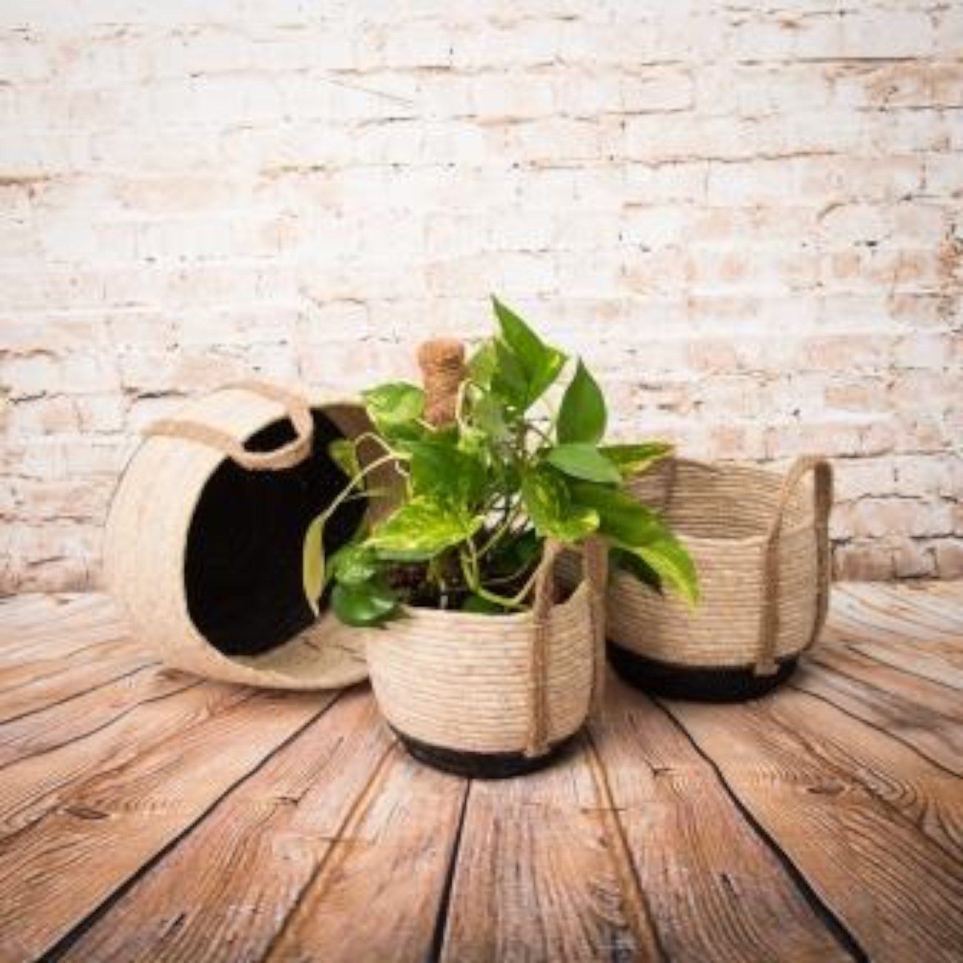 Darstellung von RP Korbset 3tlg.  schwarz, BOHO,  fixer Henkel