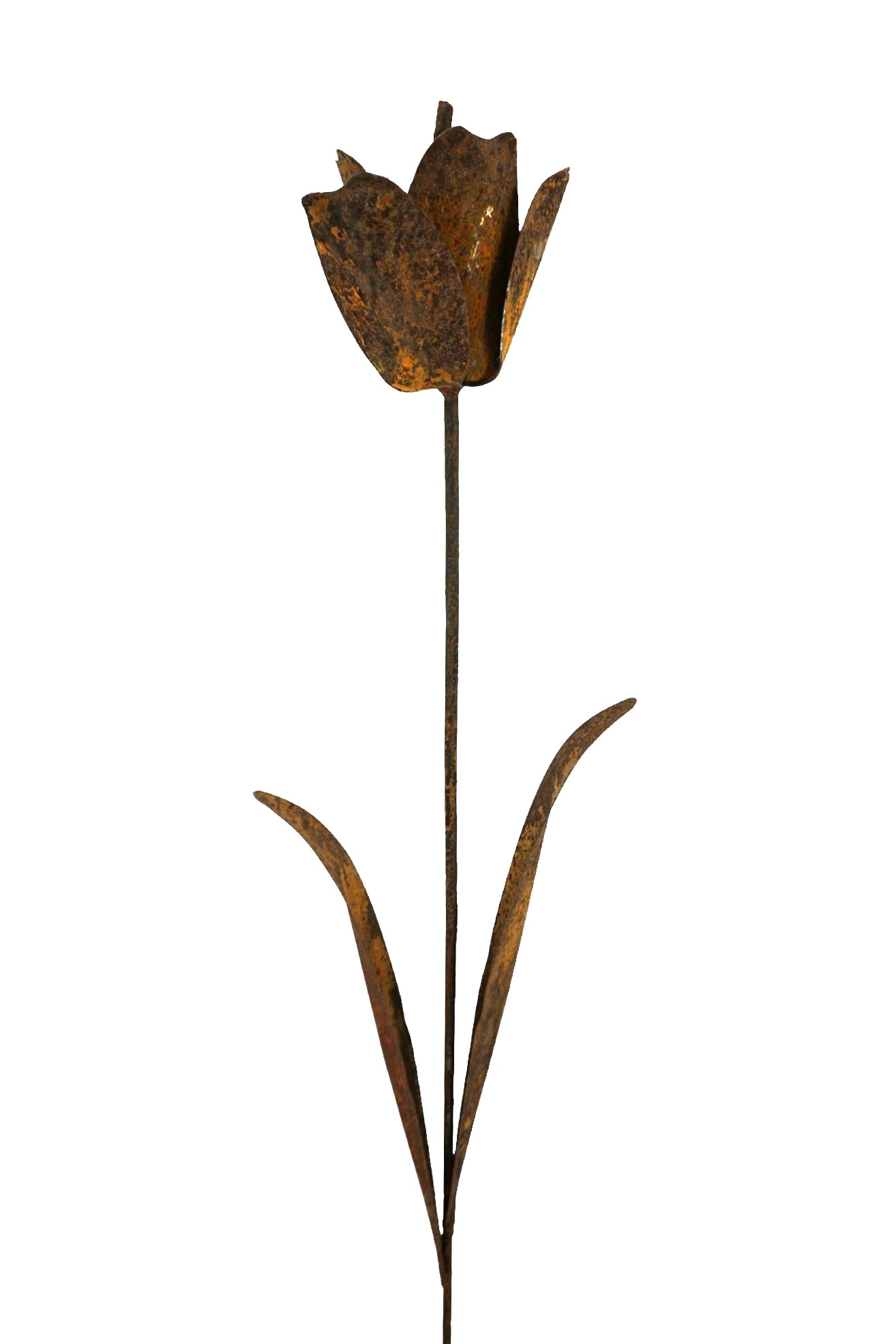 Darstellung von Tulpe z. Stecken rost, h= 144 cm, b= 17 cm