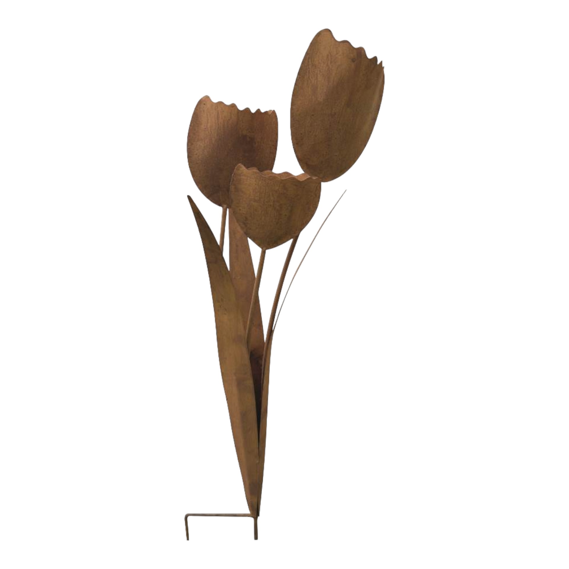 Darstellung von Stecker 3 Tulpen mit Blätter