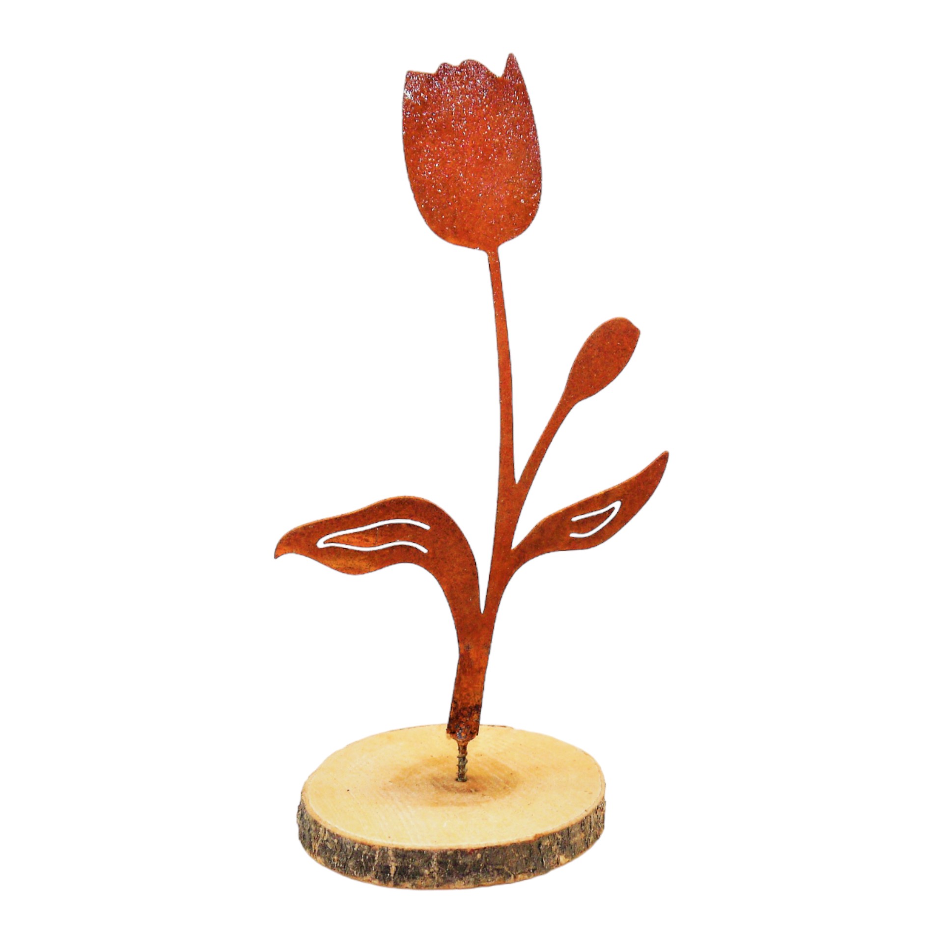 Darstellung von Tulpe 1 Blüte/ 1 Knospe, 11,5x20,6 cm