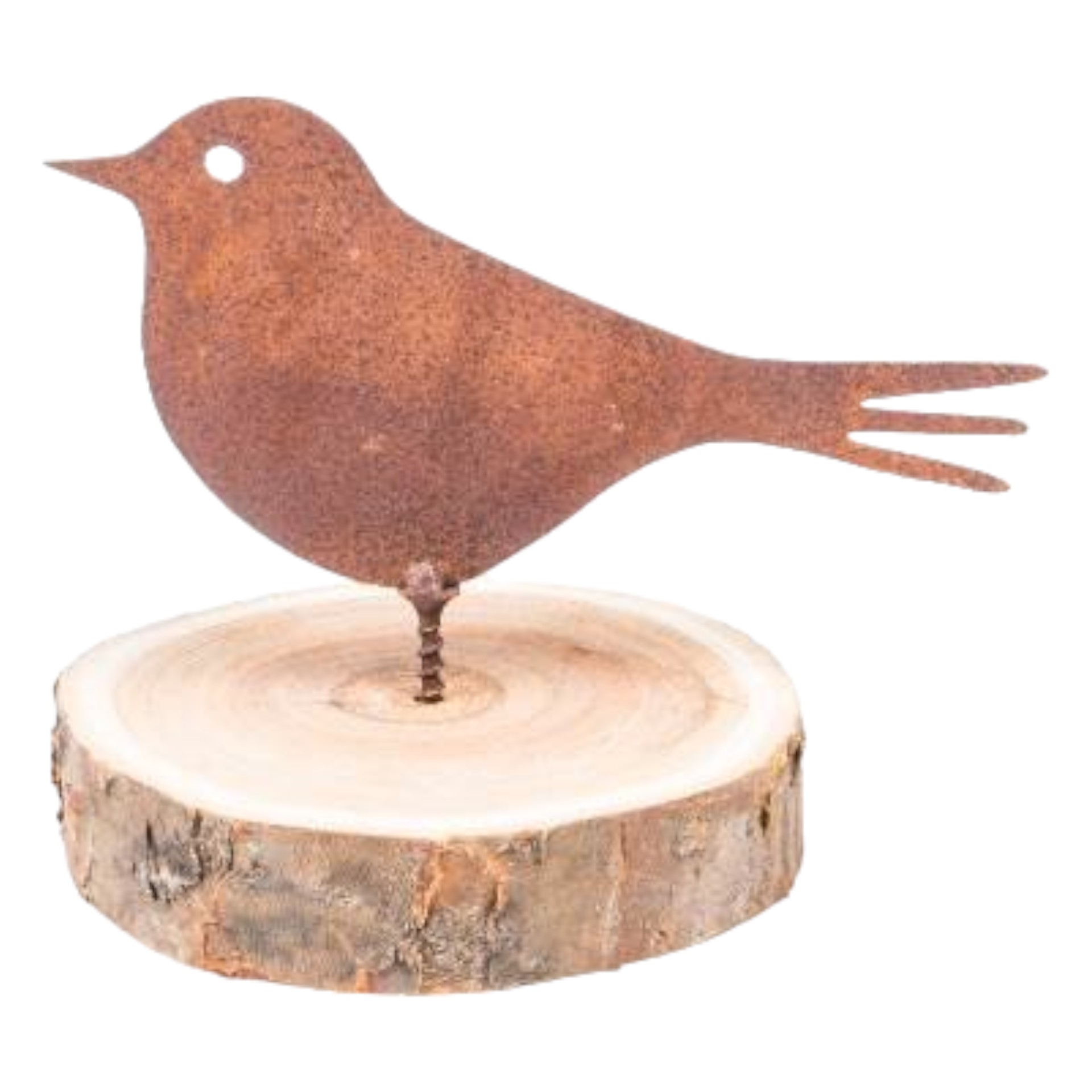 Darstellung von Spatz mit Dorn, 13x6 cm, rost