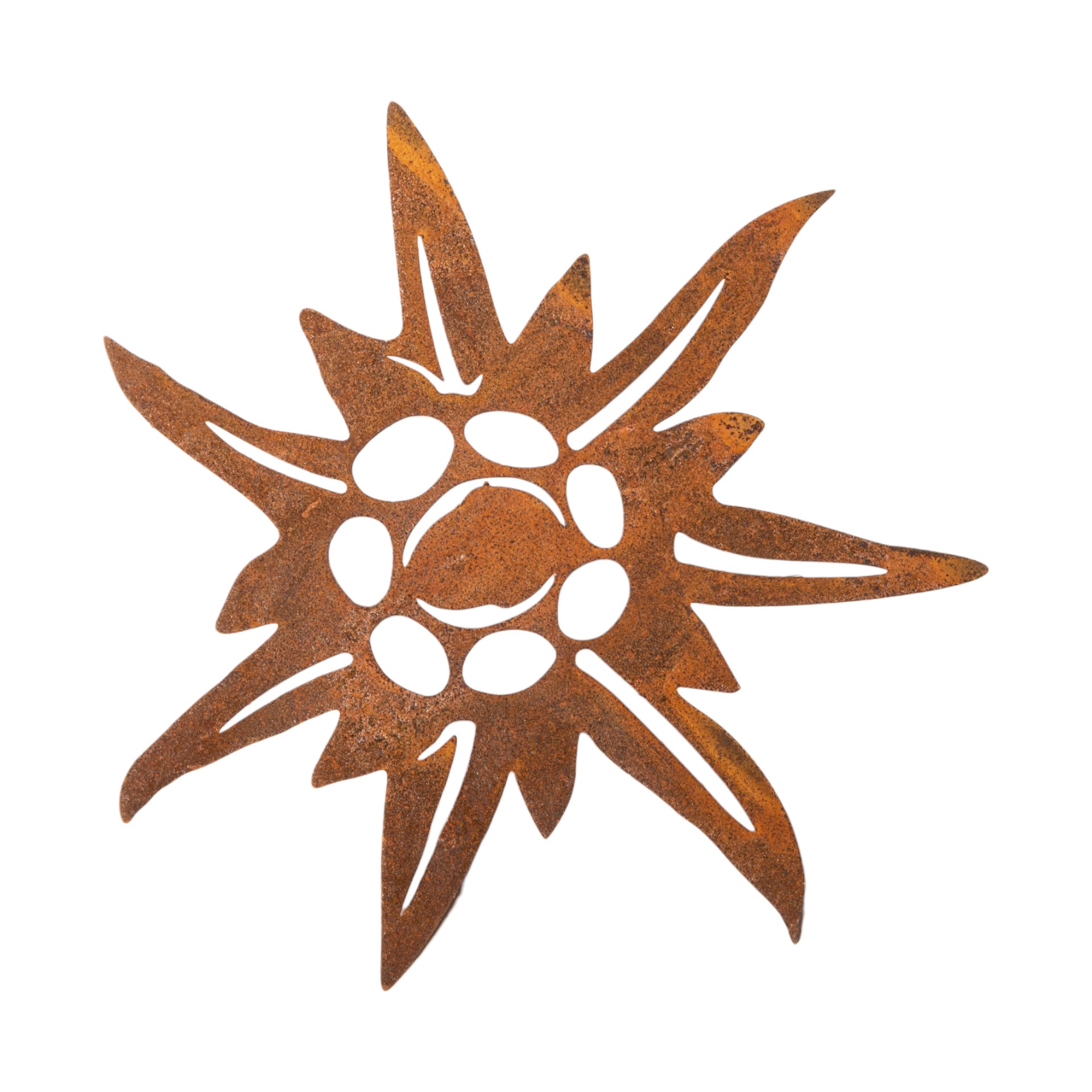 Darstellung von Edelweiss mit Dorn hinten, d= 16, t= 2,7 cm