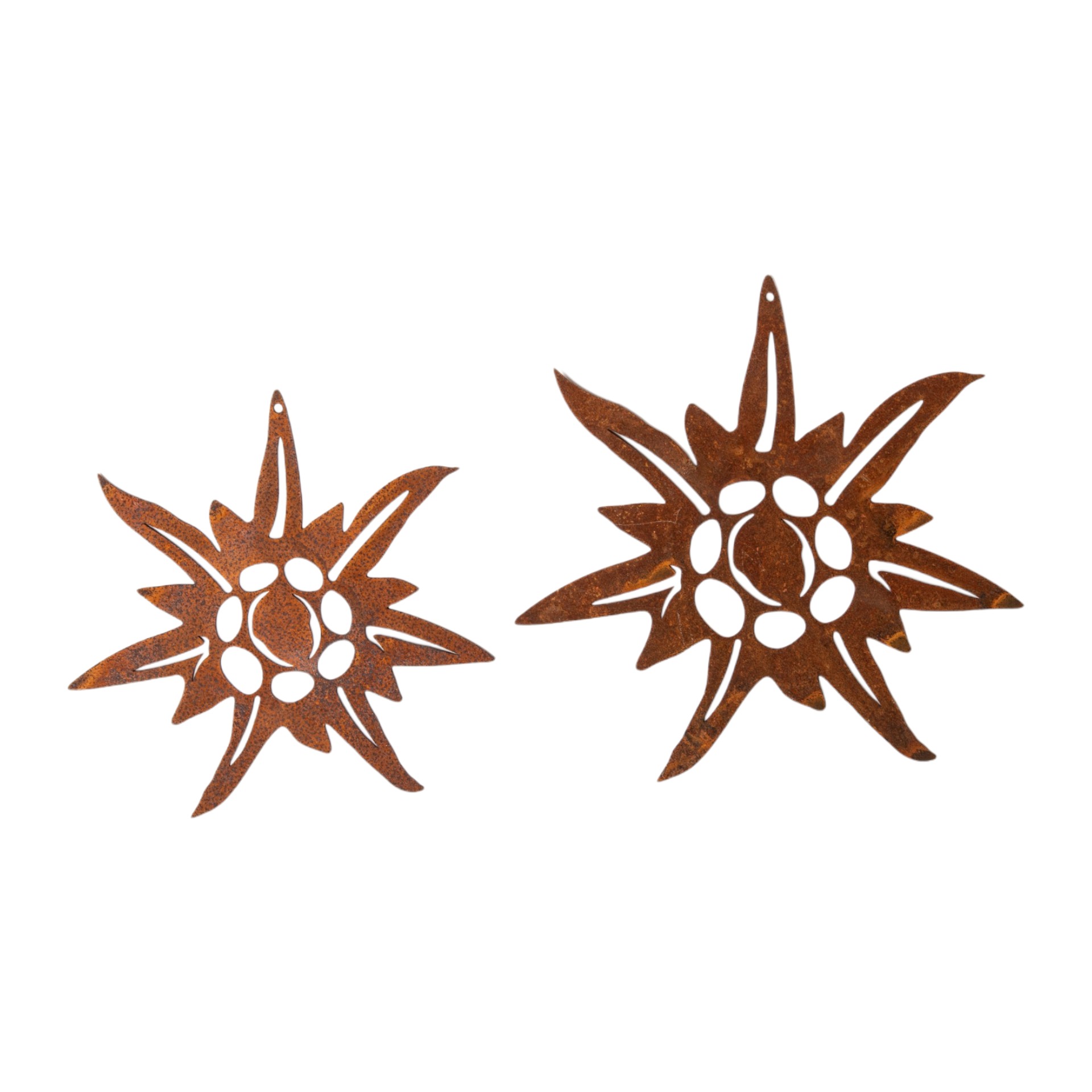 Darstellung von Edelweiss kl. zum Hängen, d= 15 cm