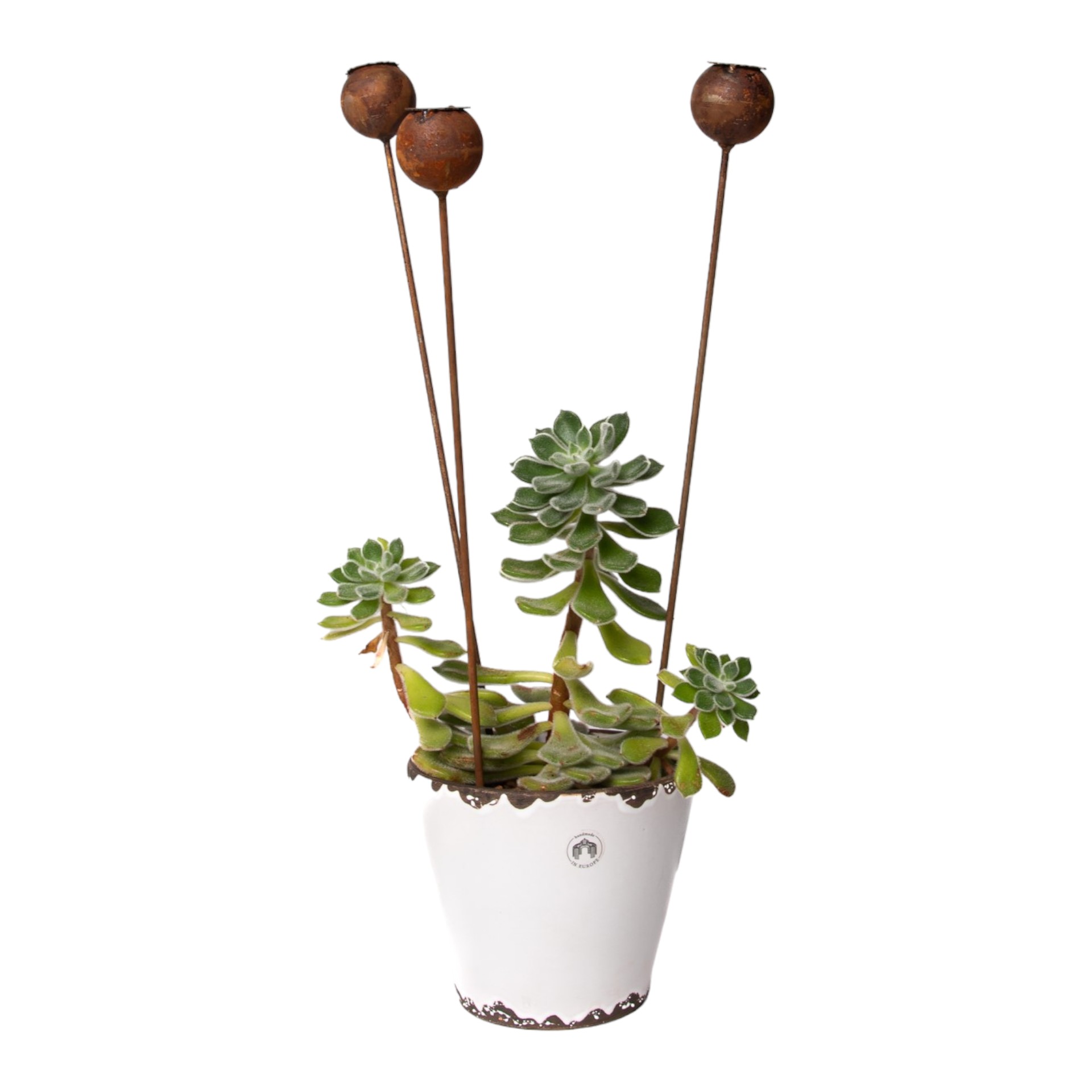 Darstellung von Mohnkapsel mini auf Stab