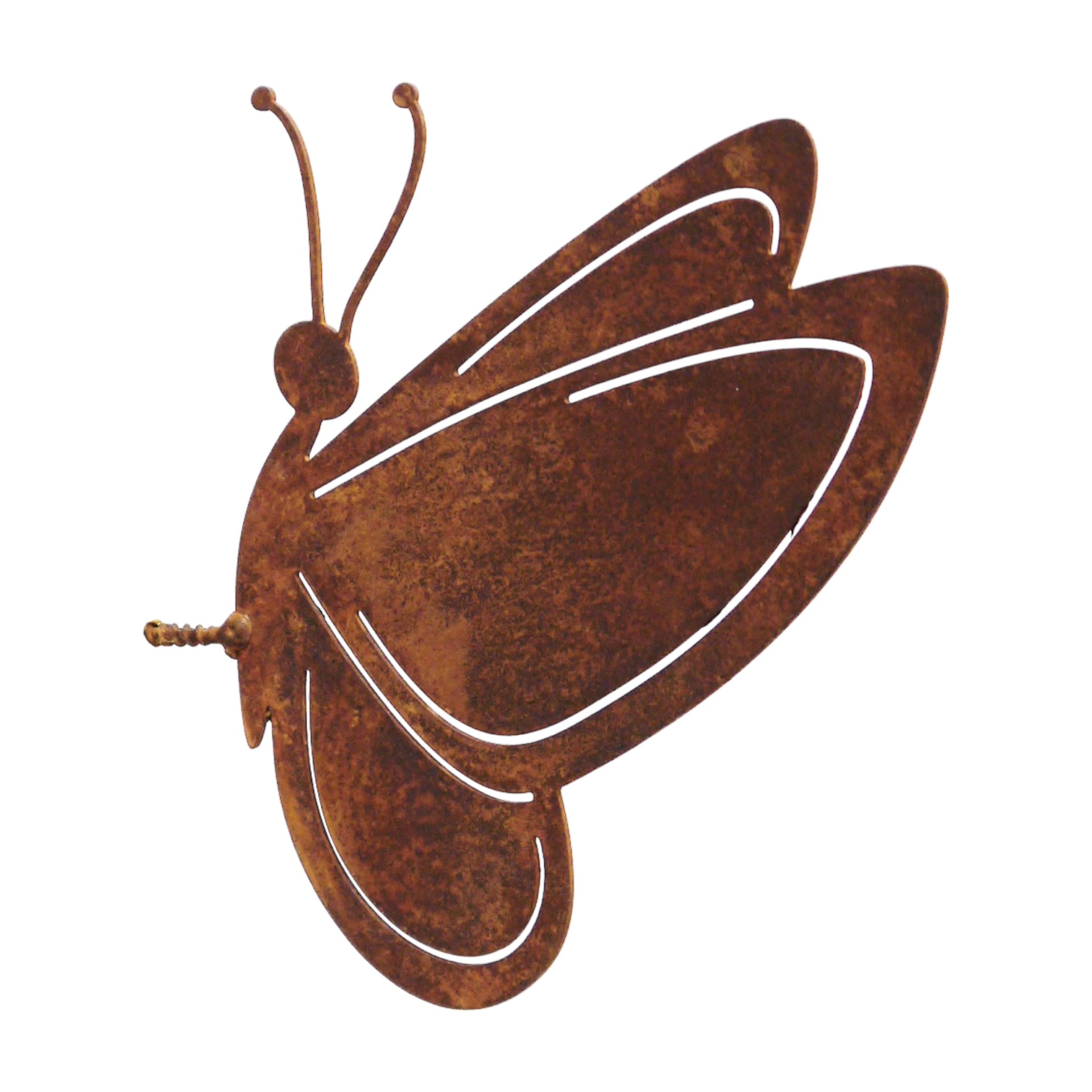 Darstellung von Schmetterling m. Dorn rost