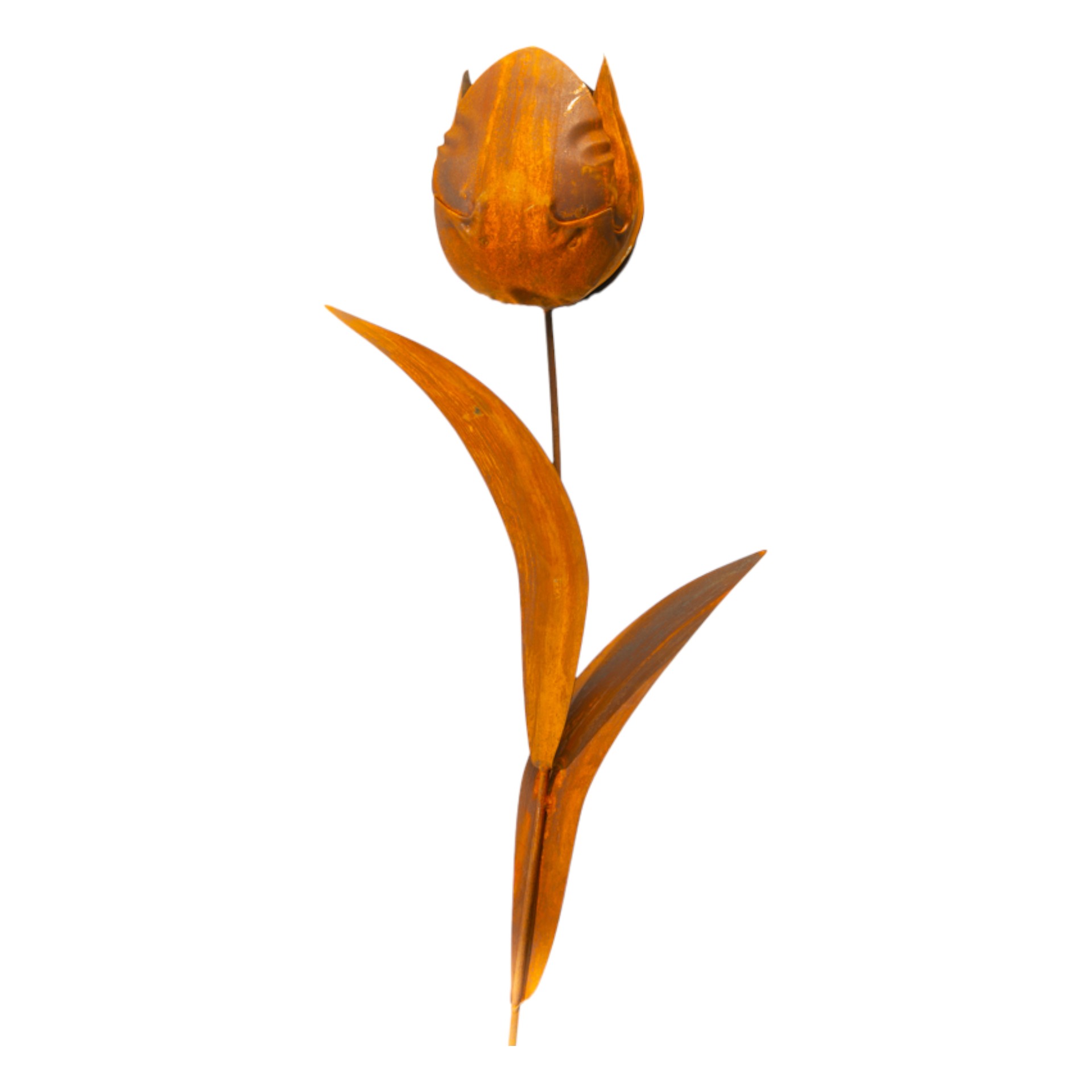 Darstellung von volle Tulpe zum Stecken mit 2 Blätter