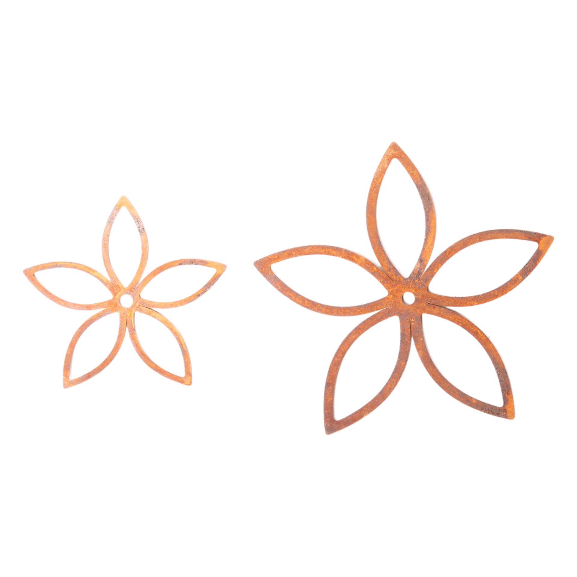 Darstellung von Blüte gross mit Loch