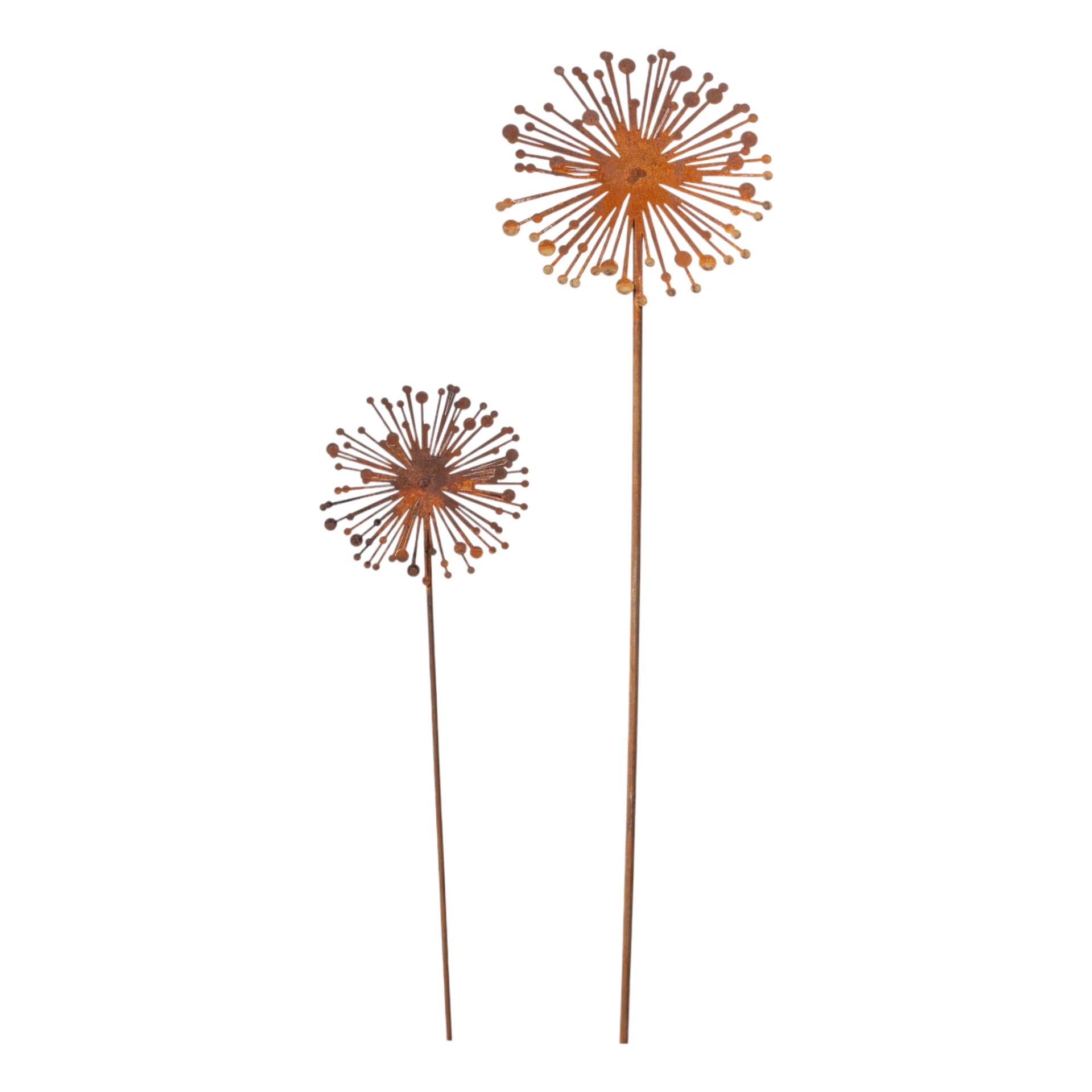 Darstellung von Allium klein auf Stab